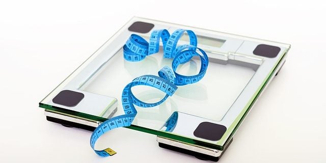 scale 403585 640