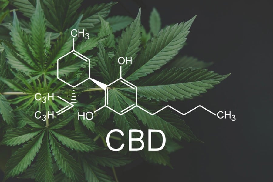Масло от коноп, CBD масло