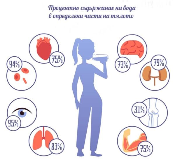 Колко вода трябва да пием.