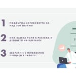 zinc3