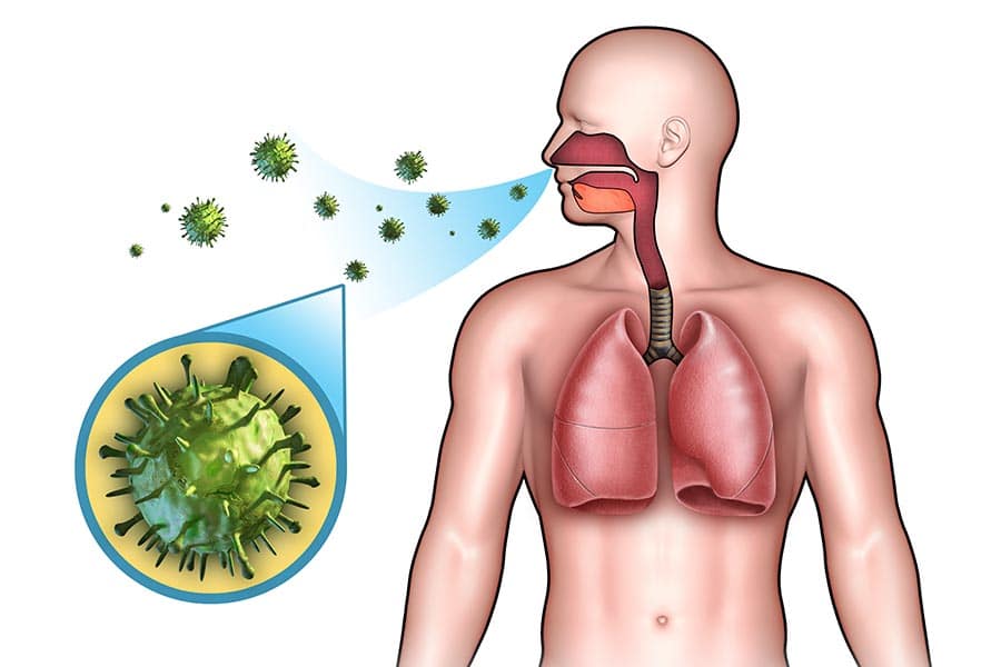Какви билки може да използваме при респираторни инфекции? Навлизаща бактерия в дихателна система на човек.