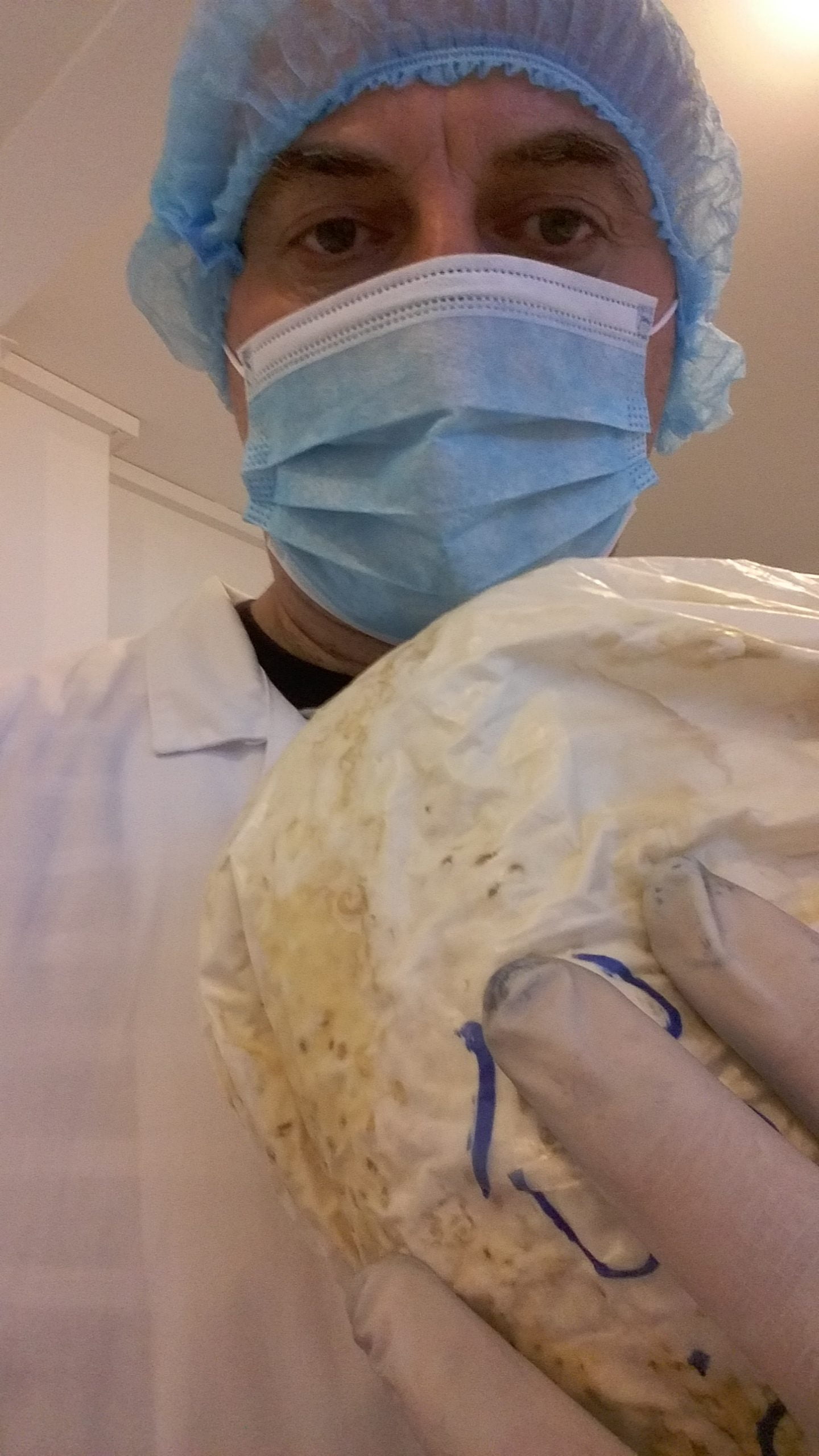 Никола Бекяров за производството на шийтаке, майтаке и рейши капсули 6 Шийтаке, майтаке и рейши капсули.