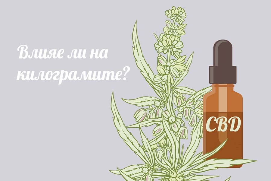 CBD масло при фибромиалгия. Cbd масло влие ли на килограмите.