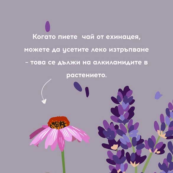 Природни антибиотици.