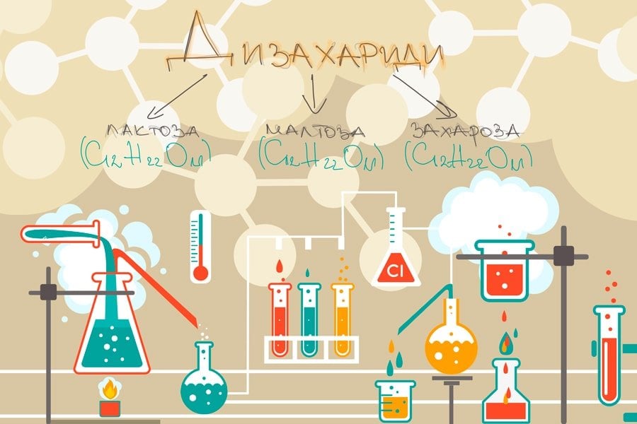 Дизахариди - същност, функции и видове.