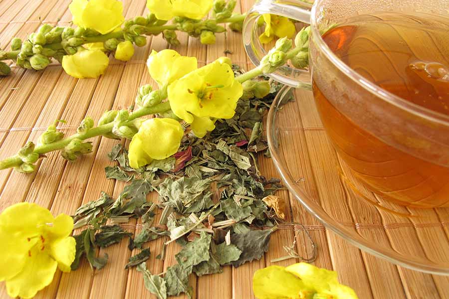 lopen-polzi-prilojenie-chai-bilka Ползи от лопен, приложение, рецепти за чай.