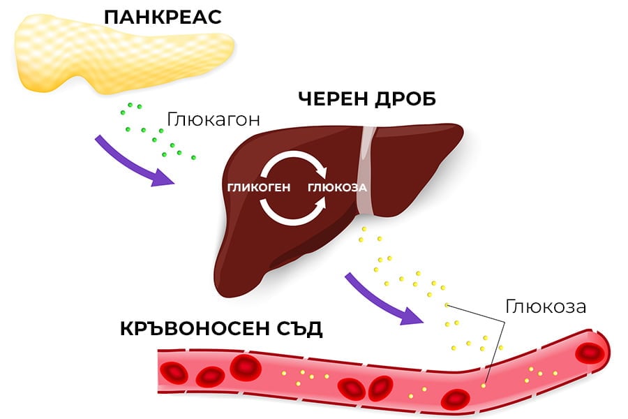 Глюкагон.