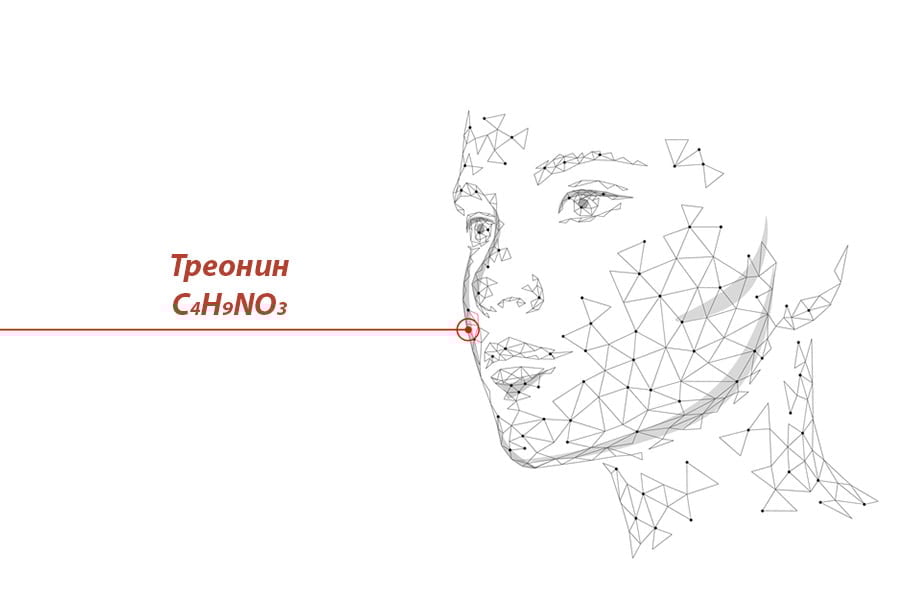 treonin-aminokiselina-iztochnici Треонин, източници, аминокиселина.