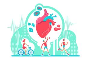 Витамин К2. Кето диета и тренировки. Как работи сърцето - структура.