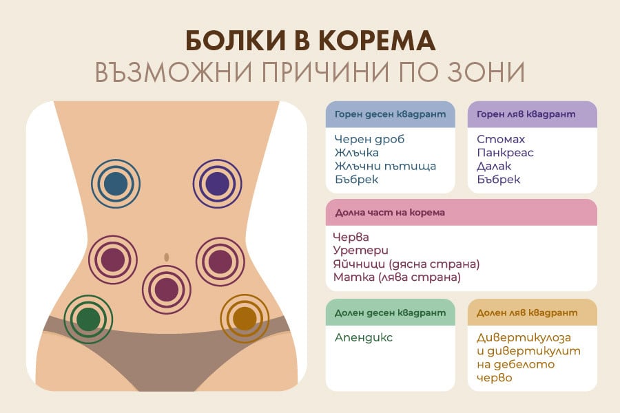 7 причини за болки в корема, на които да обърнем внимание 5 Болки в корема по зони.