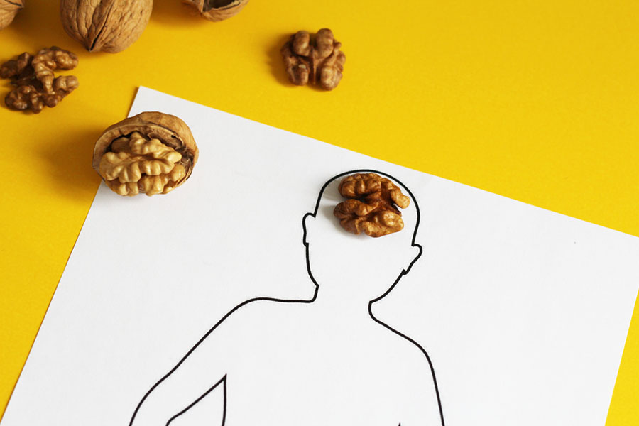 Храни богати на протеин. Ядки, кои са полезни, дневно меню, орехи.