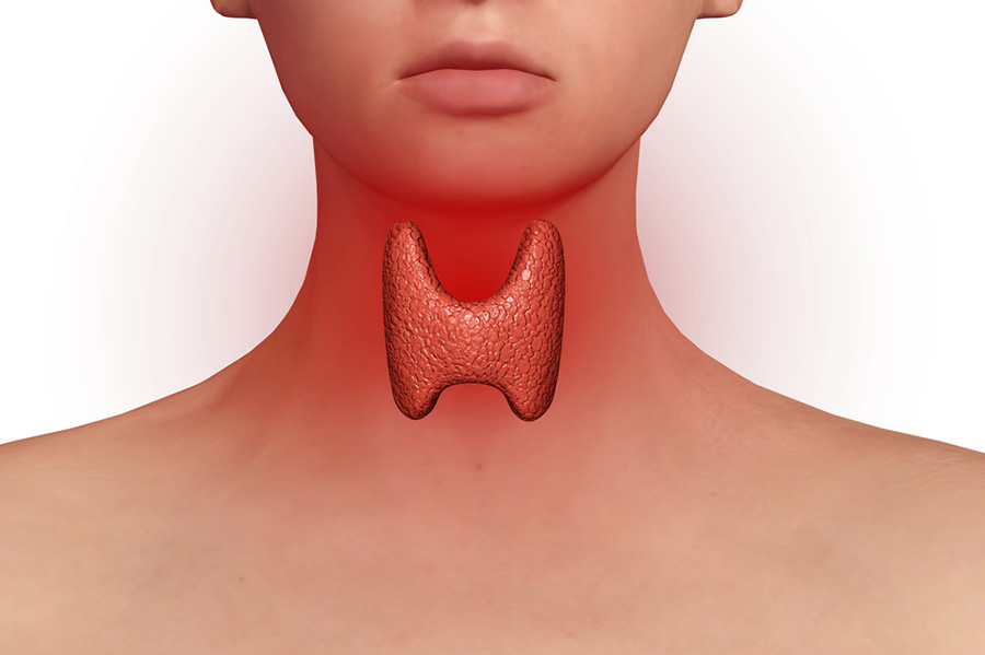 Фитоестрогени. Хипотиреоидизйм, понижена функция на щитовидна жлеза.
