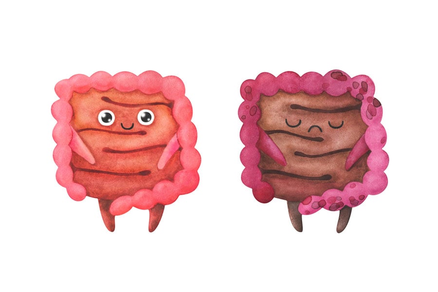 Дизентерия, лечение, опасност.