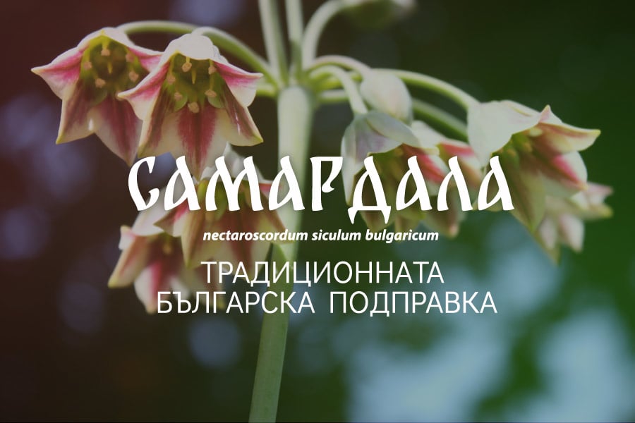 Самардала, див лук, подправка.