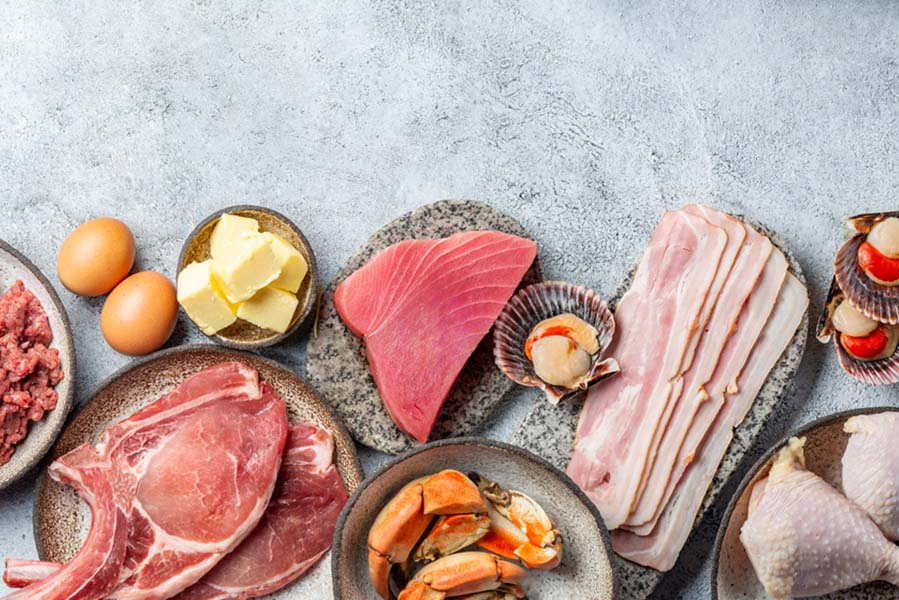 Диета карнивор - основана само на животински храни.