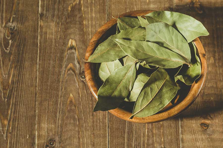 чай от дафинов лист, дафинов лист, лечебни свойства, ползи