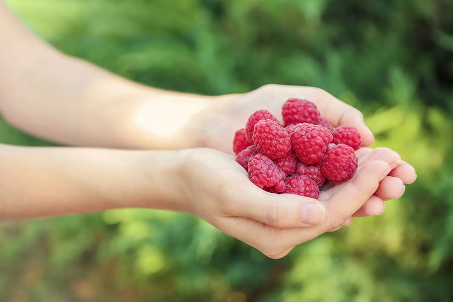Отслабване с кетони.
