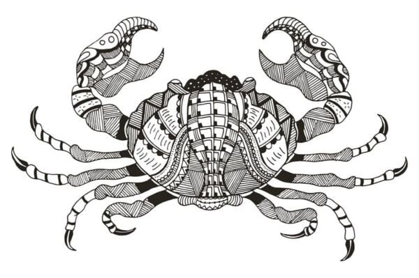 Зодия Рак – характеристика и хранителен режим 10 Зодия Рак, характеристика, хранителен режим