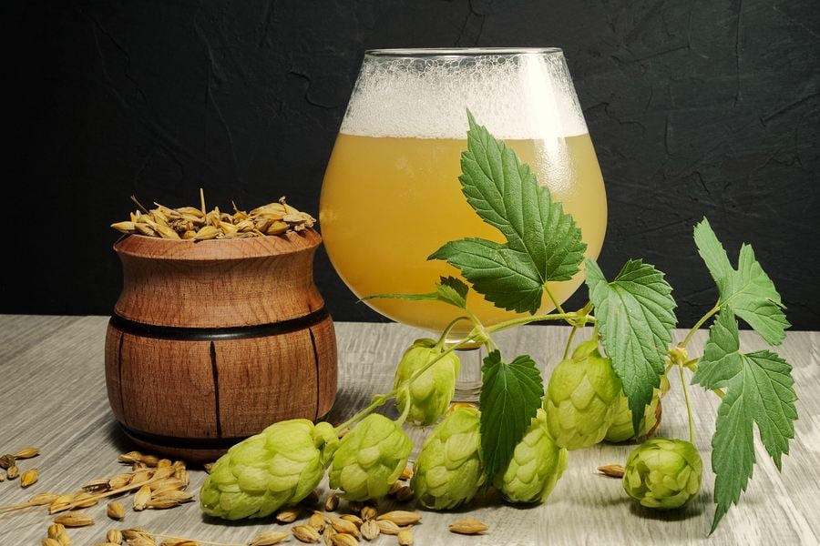 Домашна бира лесна, бърза рецепта