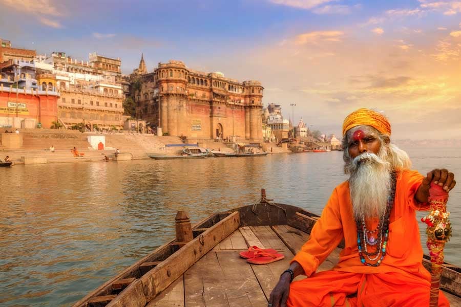 палак панир, индийска кухня