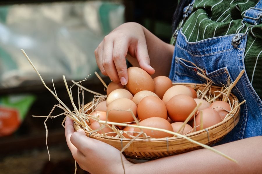 Диетични храни.