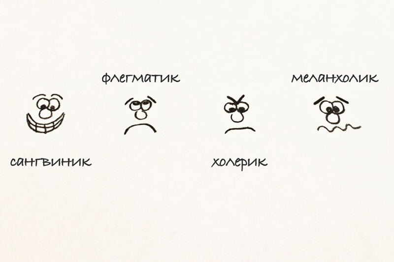 Видове темперамент - 4 основни типа и техните характеристики | For Life