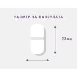 имунен комплекс капсула