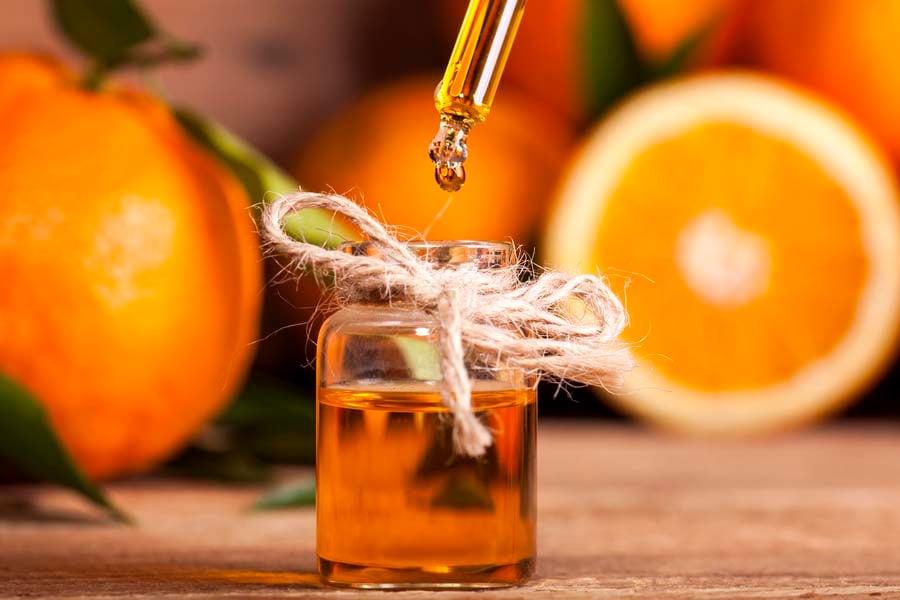 Горчив портокал – тайните на екзотичния плод 9 горчив портокал