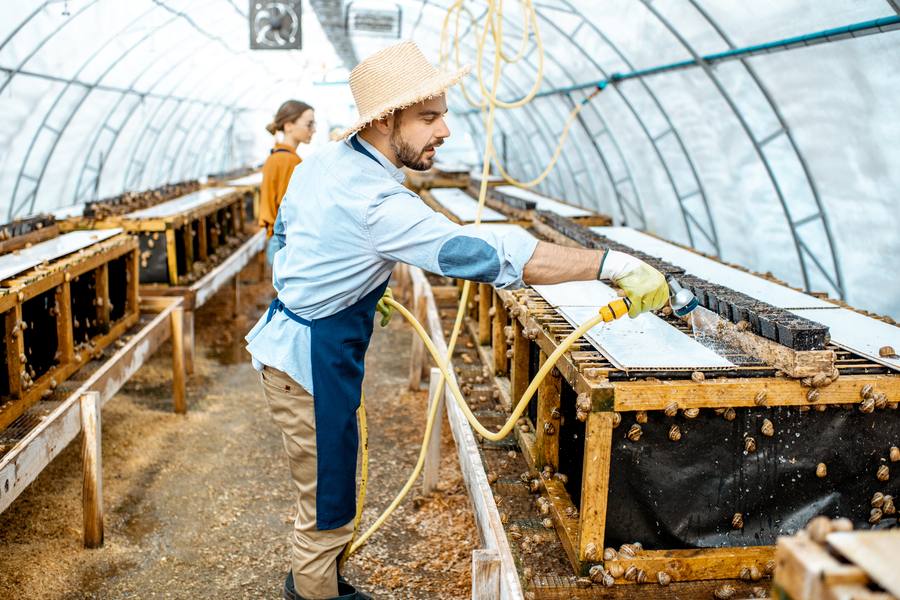 Слуз от охлюви – ефект и приложение 8 Слуз от охлюви - ферма.