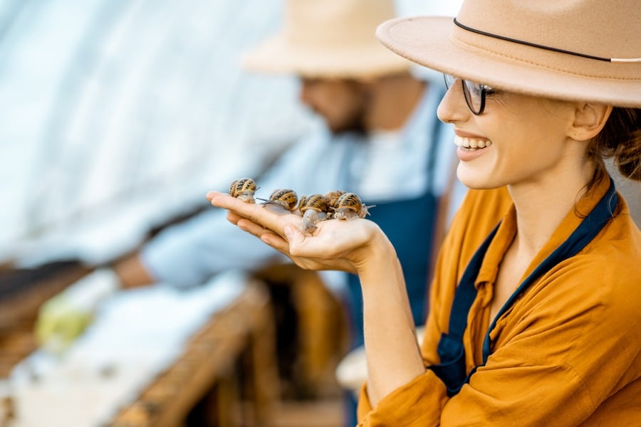 Слуз от охлюви – ефект и приложение 9 Слуз от охлюви - хуманност.