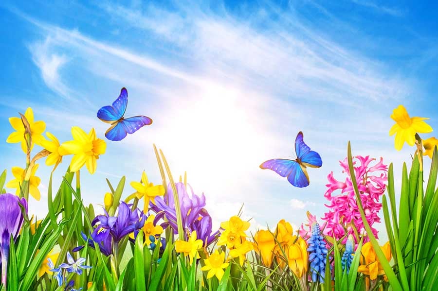 пролетно равноденствие