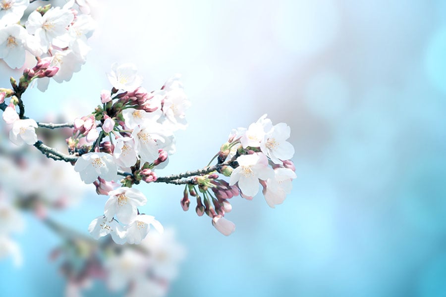 пролетно равноденствие