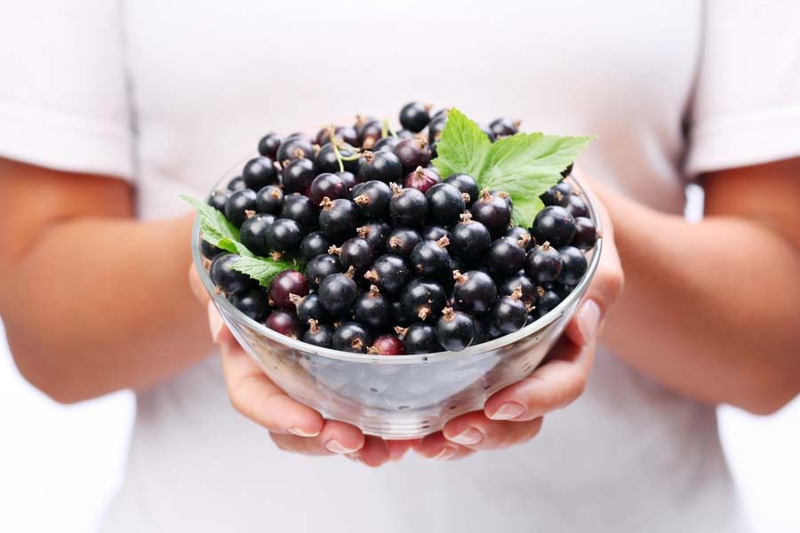 как се прави сладко от касис