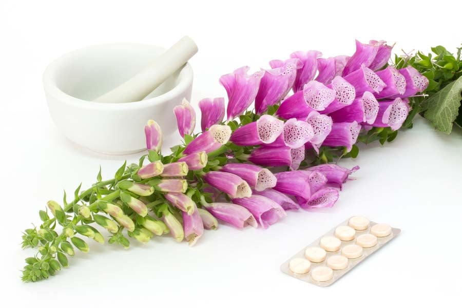 напръстник