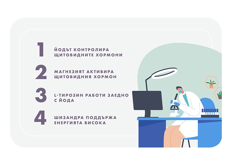 Комплекс за щитовидна жлеза 5 k s shtitovidna3