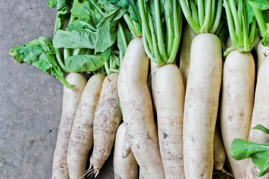 Rqpa-daikon. Ряпа дайкон.