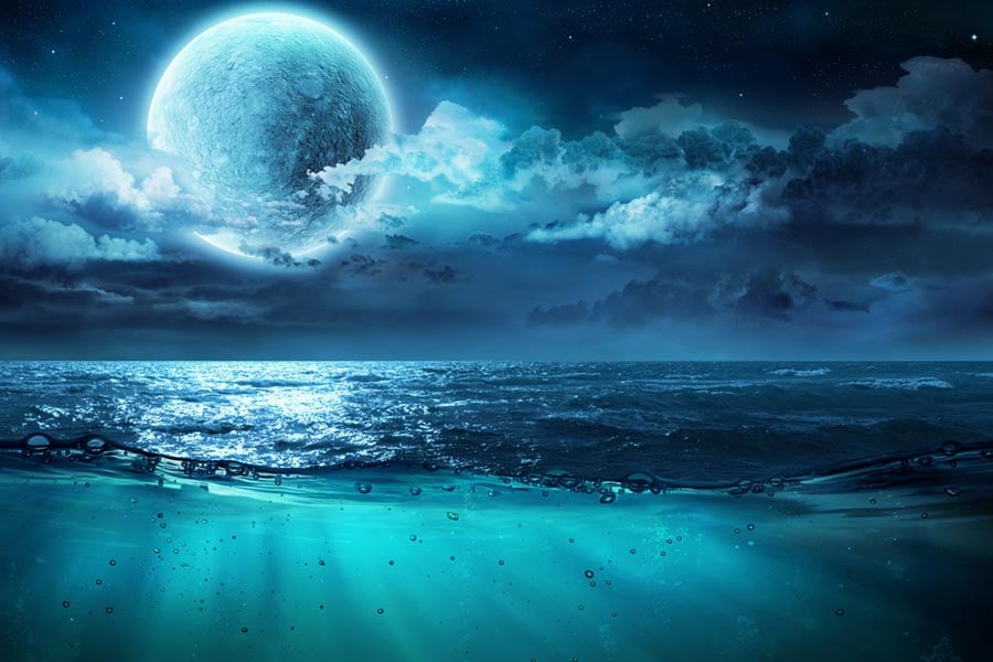 Водни знаци в астрологията 5 водни знаци