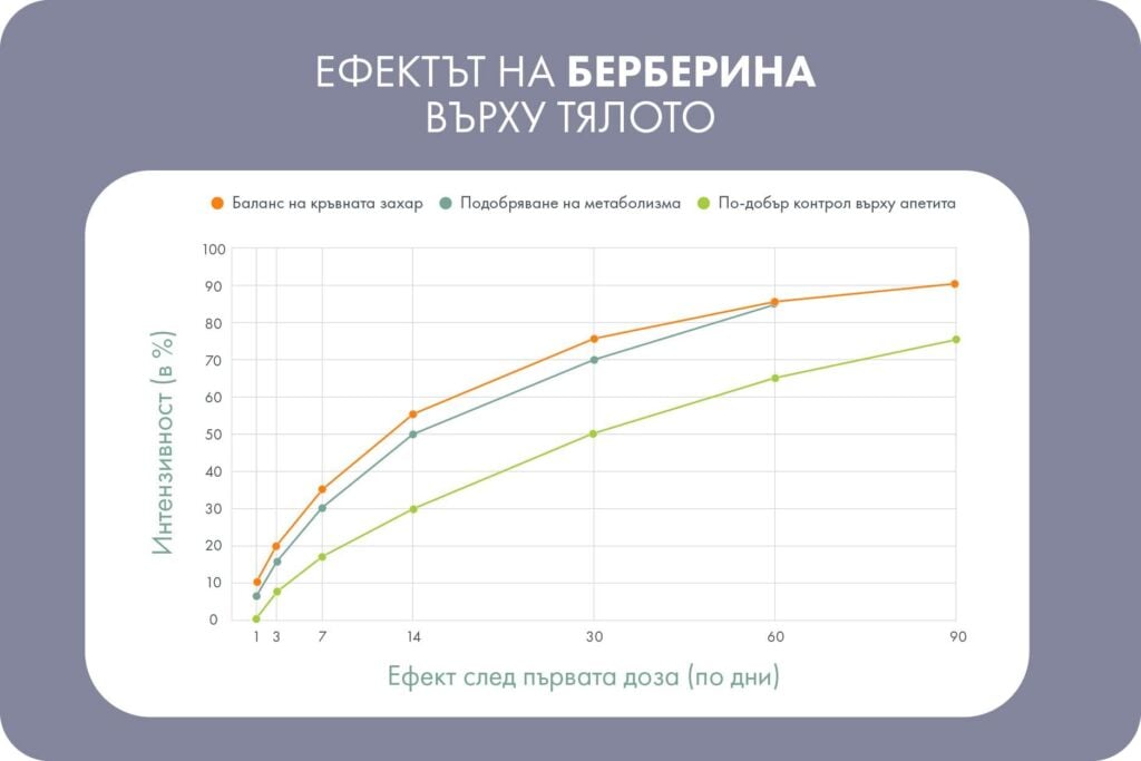 Берберин капсули, графика на действие.