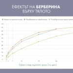 Берберин капсули, графика на действие.