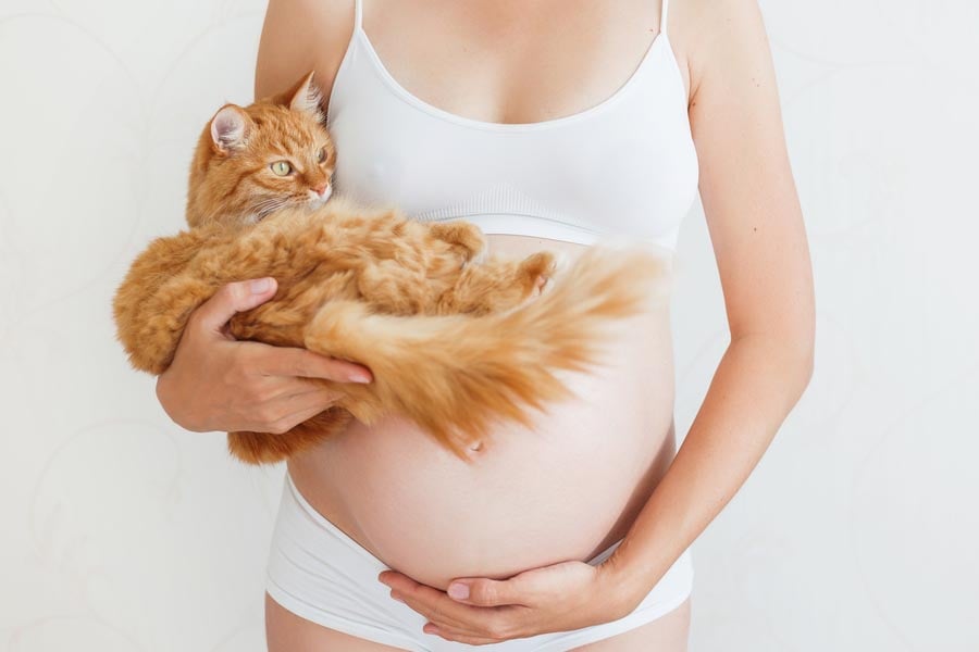 токсоплазмоза