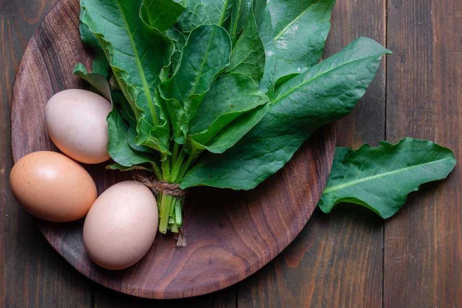 френска супа с киселец