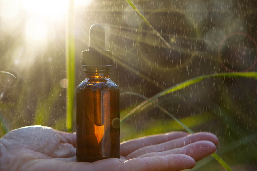 полски синап