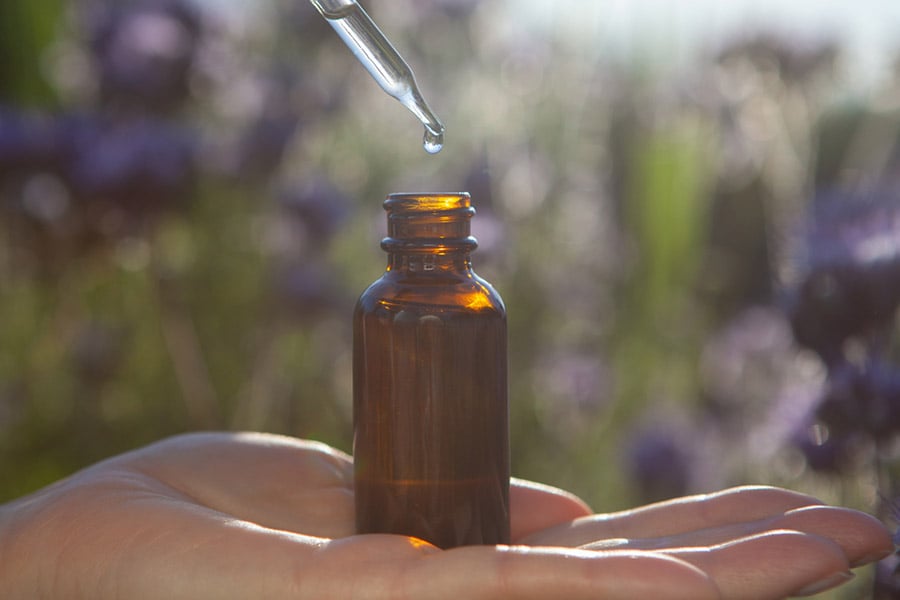 есенция от цикория