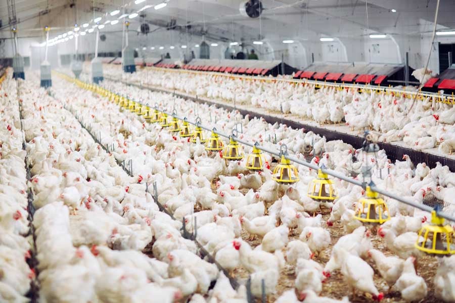 Планетарна диета