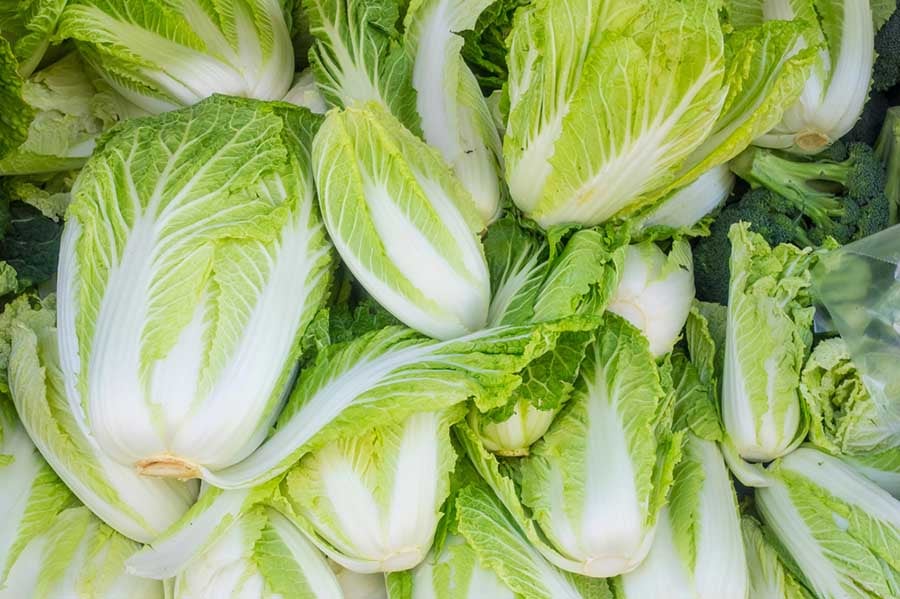 китайско зеле