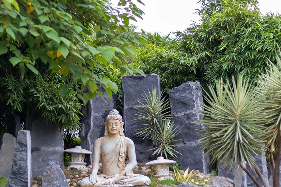 Тибетска традиционна медицина, Сова ригпа.