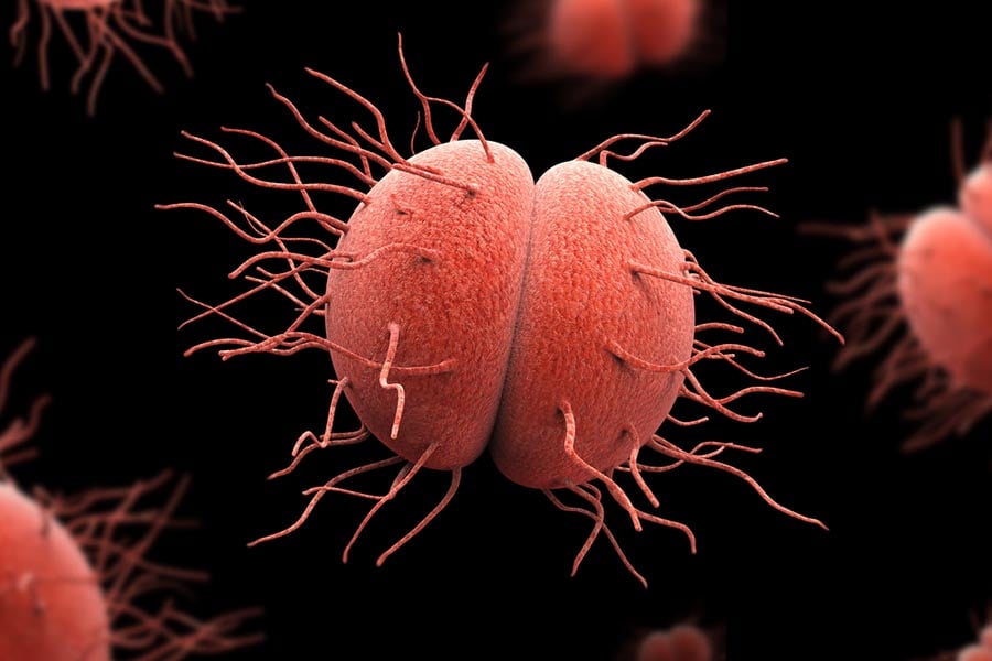 лечение на гонорея