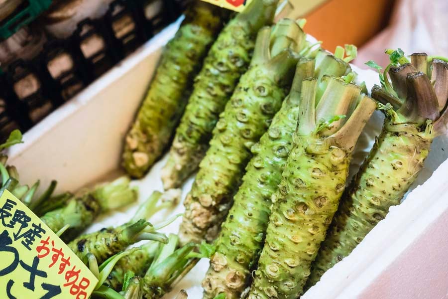 уасаби корени