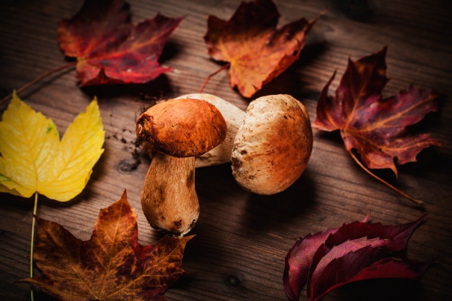 Манатарки на маса.