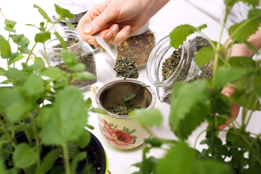 Магнитните бури влияят на сърцето и нервната система.